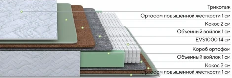 PROxSON Матрас Green Extra F (Tricotage Dream) 80x190