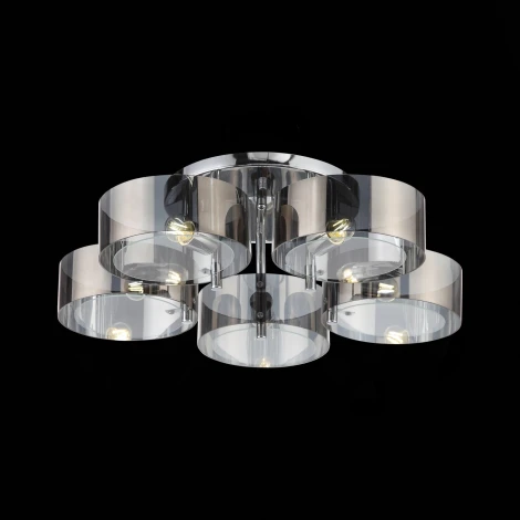 Потолочная люстра ST Luce Foresta SL483.702.05