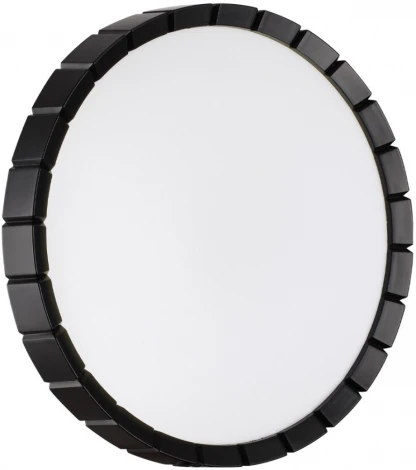 Настенно-потолочный светильник Sonex Atabi Black 7649/CL PALE SN пластик/белый/черный LED 30Вт 4000К D336 IP43 (220V, круглые)