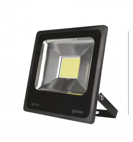 Светодиодный прожектор IP65 уличный IP65 Gauss 6131003 613100360