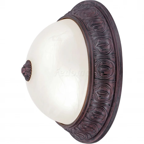 Потолочный светильник Arte Lamp Piatti A8007PL-2CK