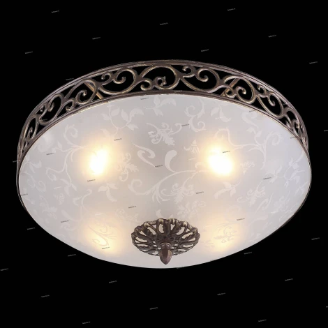 Потолочный светильник ST Luce Mezzo SL244.202.04