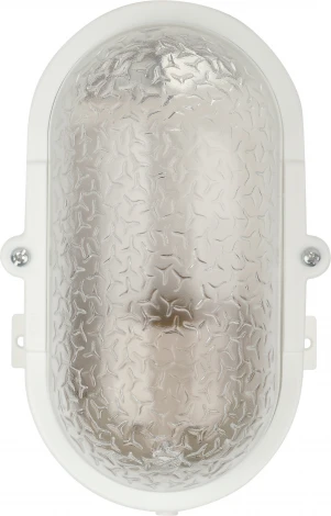 Настенно-потолочный светильник ЭРА НБП 01-60-012 (220V, IP53)