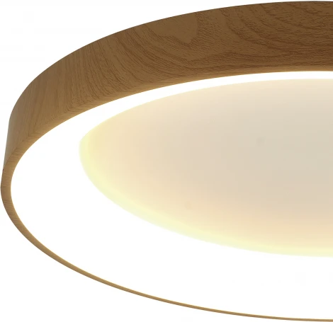 Потолочный светильник круглый Mantra Niseko 8644 (регулировка яркости, LED, 220V, пульт управления, круглые)