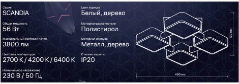 Потолочный светодиодный светильник Ritter Scandia 52072 6