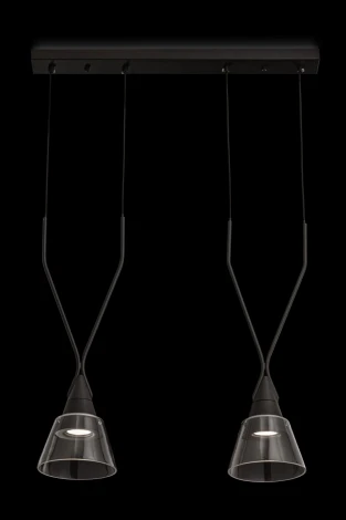 Подвесной светильник Maytoni Hilo P063PL-02B