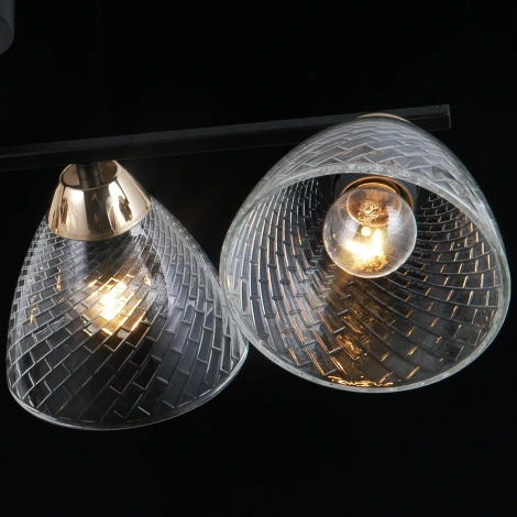 Потолочная люстра на штанге ILLUMICO IL0739-4CSQ-24 BK FGD ARIES (220V)