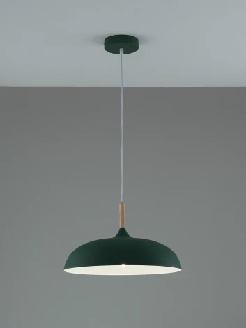 Подвесной светильник Moderli Hygo V11804-1P