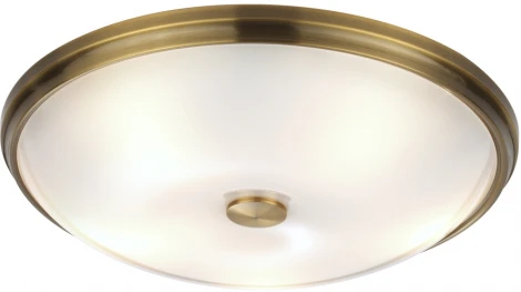 Настенно-потолочный светильник Odeon Light Pelow 4956/5 (220V, круглые)