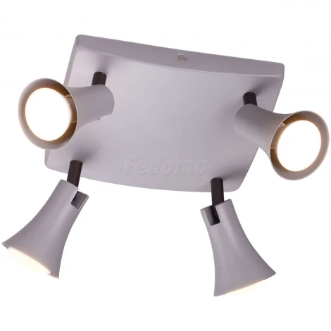 Спот Odeon Light Reanna 3825/4C