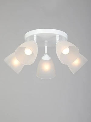 Потолочная люстра Vitaluce V4355-0/5PL (220V)