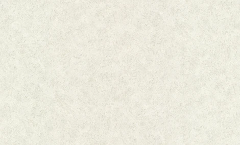 Обои виниловые Grandeco Universe 2023 US 1303 10,05 x 1,06 м