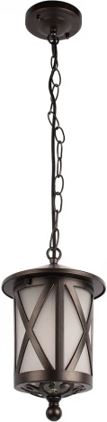Подвесной уличный светильник Loft It Ravenna 100016P (220V, на цепи, IP55)