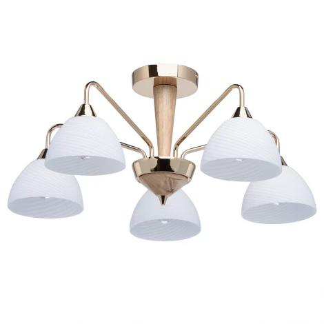 Потолочная люстра MW-Light Николь 364014105