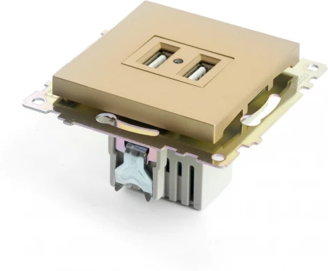 Розетка с USBх2 (золото) Stekker Катрин 49229