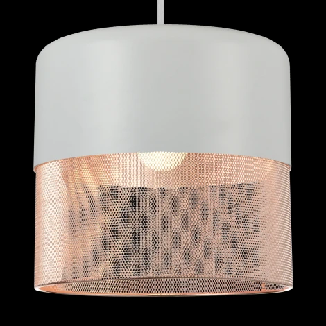 Подвесной светильник ST Luce Tondatto SL976.443.01