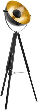 Торшер-прожектор на треноге Eglo Covaleda 49618 (220V, выключатель)