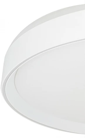 Потолочный светильник RGB круглый Citilux Boss CL751450G (LED, 220V, круглые)