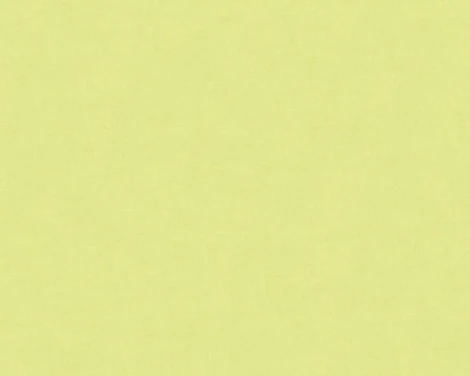 Обои виниловые A.S. Creation X-Ray 34248-8 10,05 x 0,53 м