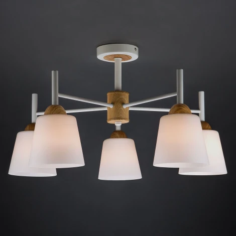 Потолочная люстра Eurosvet Fresco 70085/5 белый (220V)