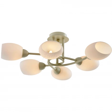 Потолочная люстра Toscom Grums TC-300-506