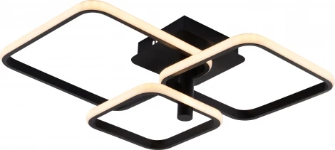 Потолочная люстра светодиодная с пультом регулировкой цветовой температуры и яркости Rivoli Milena 6141-103 (220V)