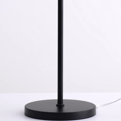 Торшер ILLUMICO IL2218-1FLS-24 (220V)