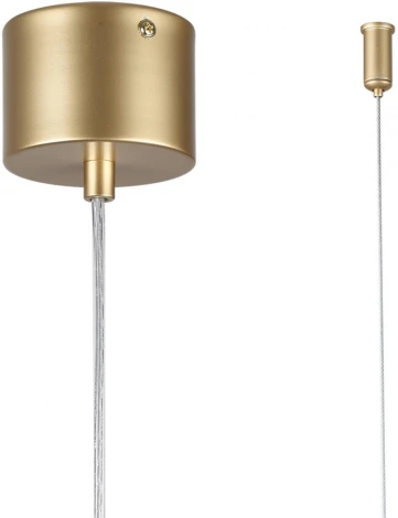 Подвесной светильник Lumion Toronto 6560/2 золотой/прозрачный/металл/стекло G9 2*20W 220V (на проводе)