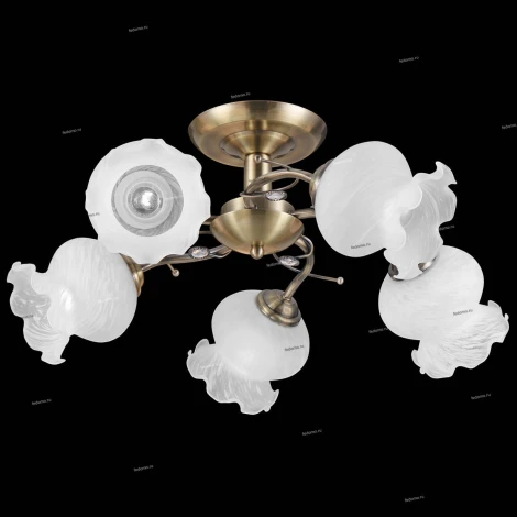 Natali Kovaltseva 11472 11472/5C