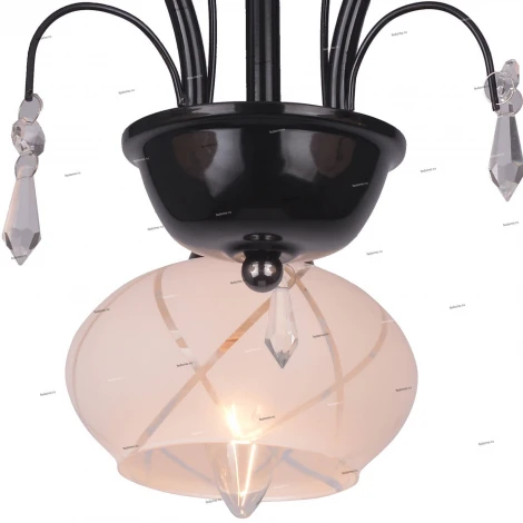 Потолочная люстра Toplight Roberta TL3700X-03BC