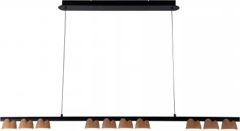 Подвесной светильник Favourite Interline 4266-10P (LED, 220V, на проводе)