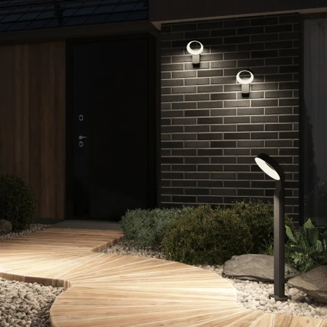 Настенный светодиодный уличный светильник Denkirs Sanvik DK9712-BK (220V, IP65)