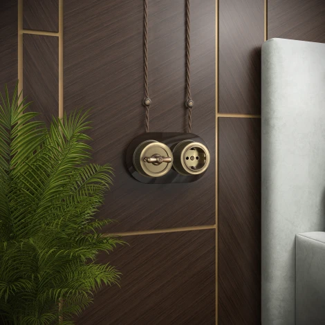 Розетка с заземлением (бронзовый) Ретро Werkel W5771012 (a050768)