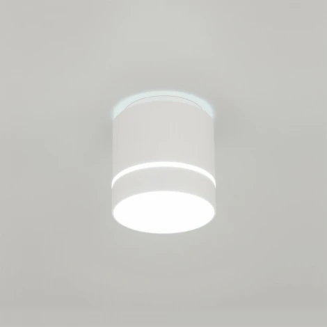 Накладной точечный светильник Citilux Борн CL745020N (LED, 220V, диммер, круглые)