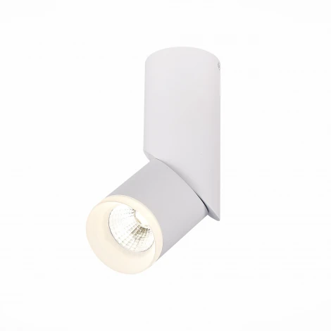 Накладной точечный светильник ST Luce Tortelle ST107.542.10