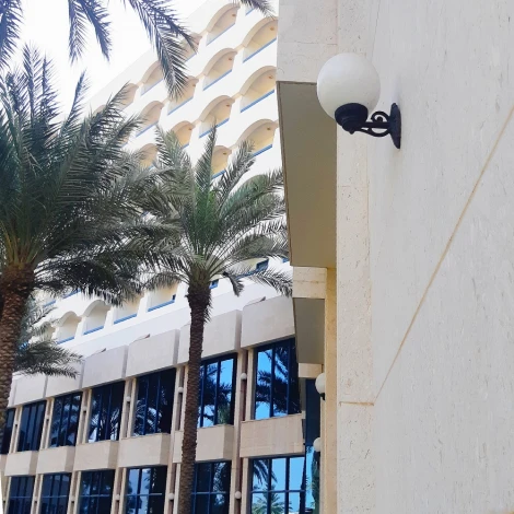 Настенный фонарь уличный Fumagalli GLOBE 250 G25.131.000.AYF1R (220V, шар, IP55)