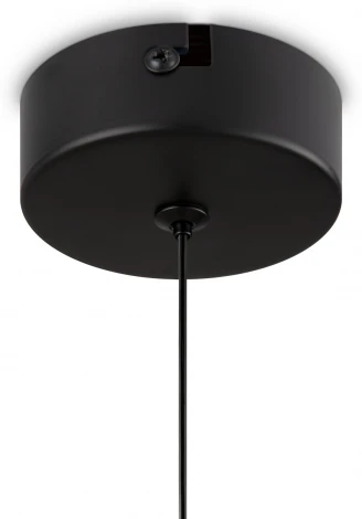 Подвесной светильник Freya Ida FR6133PL-L4SM (LED, 220V, на проводе, круглые)