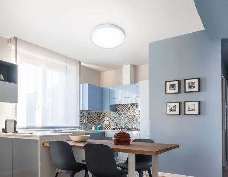 Потолочный светильник круглый светодиодный Ambrella ORBITAL FZ1951 (220V, круглые, IP54)