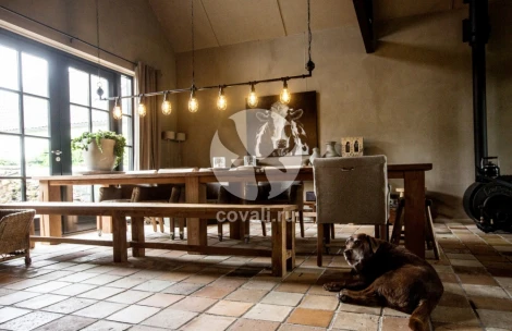 Подвесной светильник Covali PL-51558 (220V, на цепи)