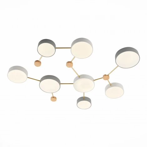 Потолочная люстра Evoluce Dossena SLE600102-08 (LED, 220V)