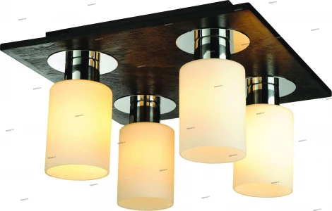 Snowlight 1283101 1283101/4C