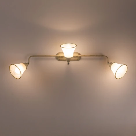 Спот на штанге Citilux Прованс CL511534 (220V)