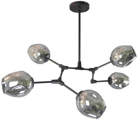 Потолочная люстра Kink Light Нисса 07512-5,19