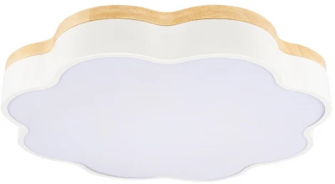 Потолочный светильник светодиодный для детской Loft It Axel 10225/36 White (220V, тучи)