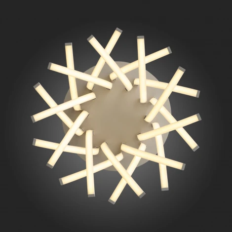 Потолочная люстра ST Luce Filiali SL827.502.20