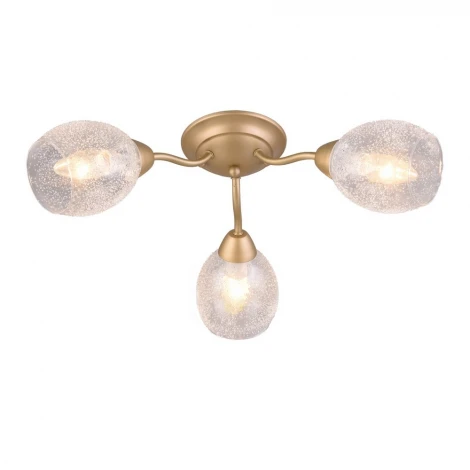 Потолочная люстра Omnilux Miglionico OML-55507-03