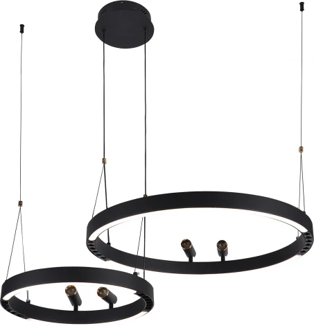 Подвесной светильник со спотами F-Promo Slinga 4474-2P (LED, 220V, на проводе, кольцо)