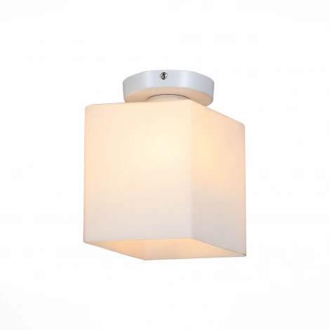Настенно-потолочный светильник ST Luce Aspetto SL548.501.01