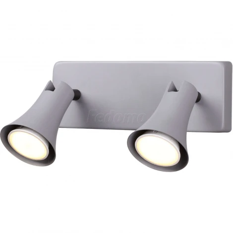 Спот Odeon Light Reanna 3825/2W