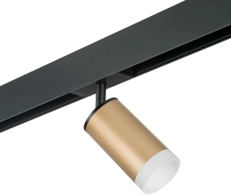 Трековый светильник однофазный 220V Lightstar Rullo PRO44030 (круглые)